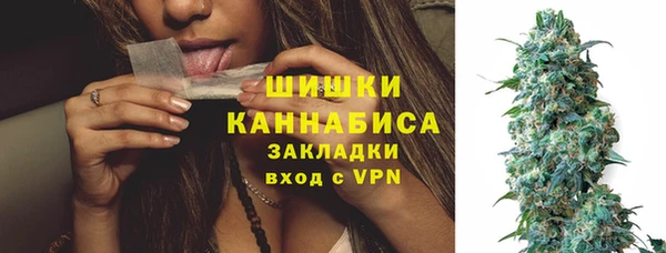 дмт Арсеньев