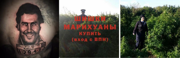 дмт Арсеньев