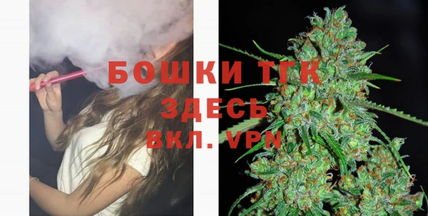 дмт Арсеньев