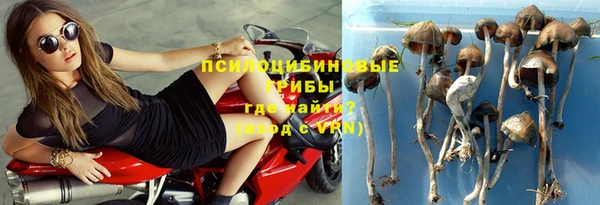 apvp Ельня