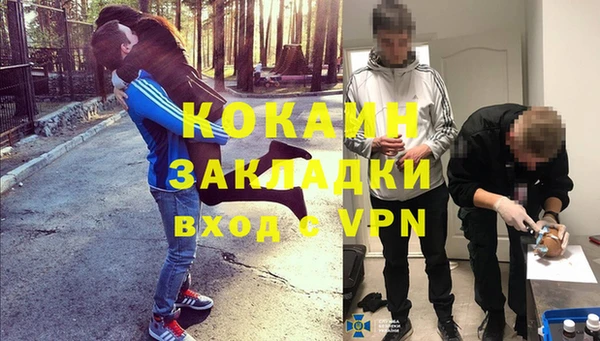 гидра Алексеевка