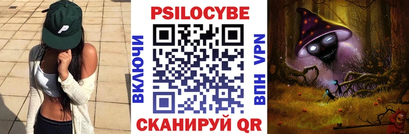 Псилоцибиновые грибы прущие грибы  купить закладку  Строитель 