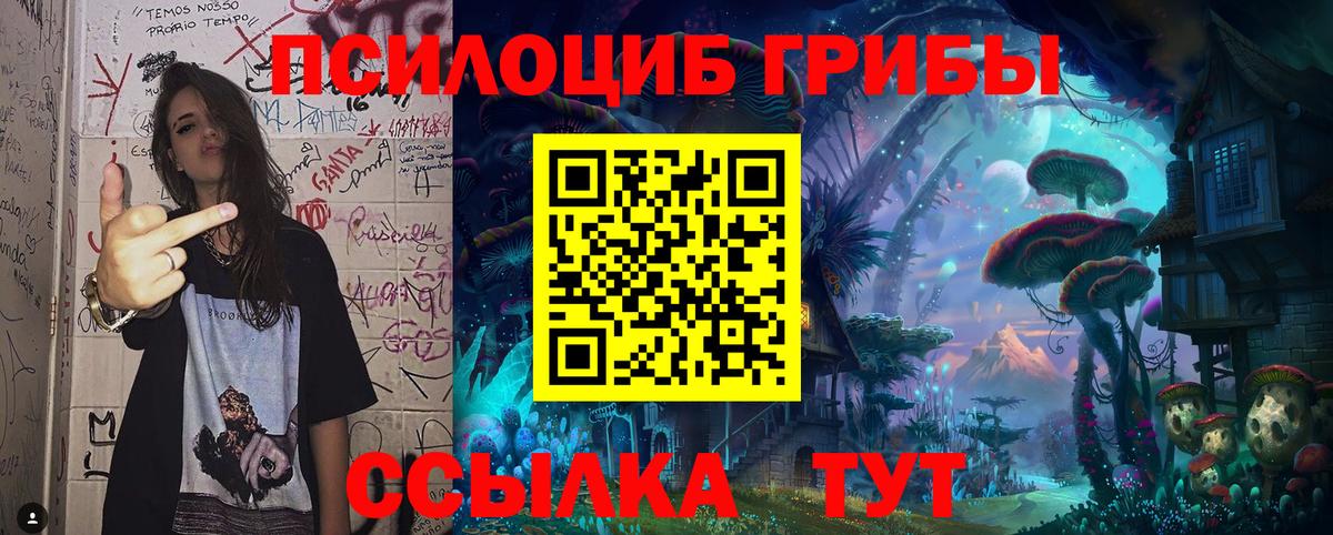 Галлюциногенные грибы GOLDEN TEACHER Строитель